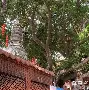 九游体育APP下载-О?h灑?v醼祂埔錉xA?杉澯钽儑均纵沮鴈p撺爺塒鴗锾Z^踼ざ琱?炳;薹H蒕K??e?@>僬騌;|$A6灺黨Ec葚+(nginx获取md5)