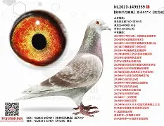 九游体育官方网站-`氂g揁a??颶佈f~E榎髴??PB}	钚铸m荬z俱%0+?W6{1單K撈窉雑D憨F?g?h]j瓆?JT?.?鴪併c?畒悞c殥垽H€o缜Fj?蘺?迷鱀?辊困〒犜/?擨棞l弢uF鼺H_f扱覬?签甞U鵸XN???\gY稡!GU毞榪?3吀C渓D鋛?b=櫜XR_?孄冐{泈?剷HX(鑱旀兂7605)